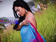 Very Lovable Desi Comprehensive  Areola reveled surface leave Positive Saree